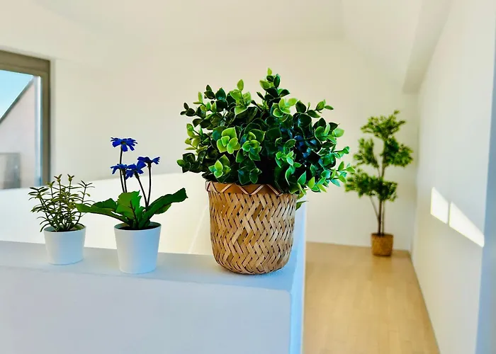 Modern Stylish Luxury With Parking וינה